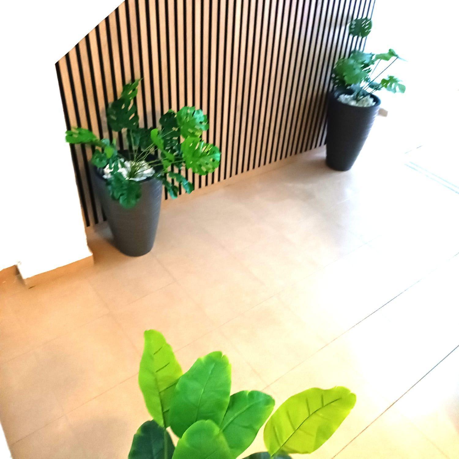 Terrazas De San Juan Appartement *